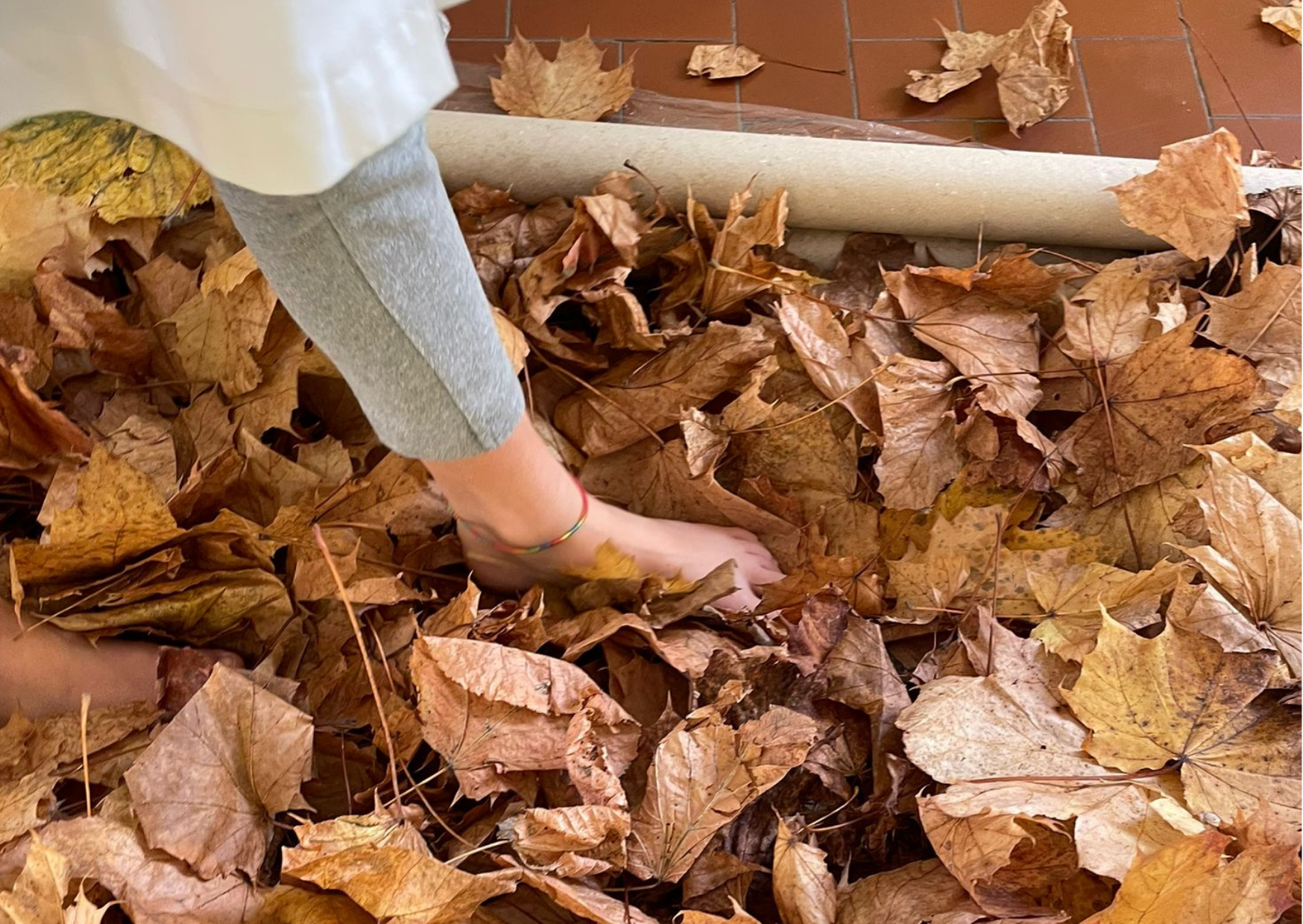 Progetto senza titolo.png