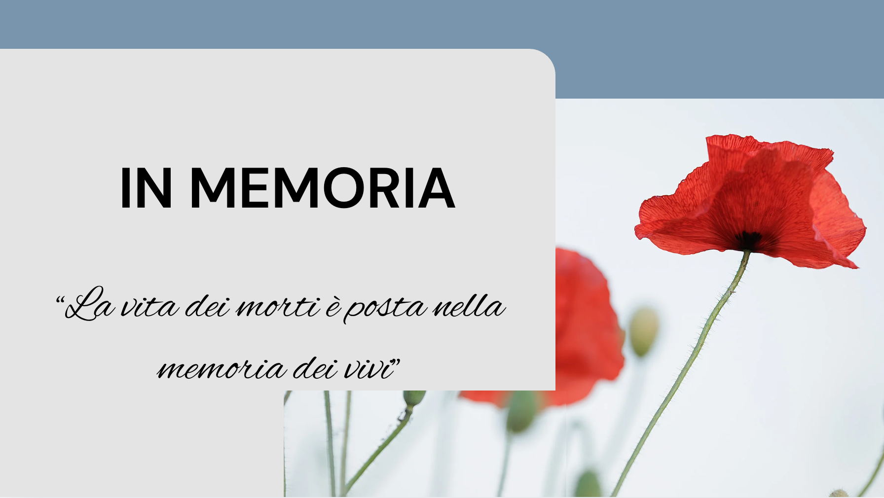 Screenshot 2026-03-05 alle 19.36.35.png